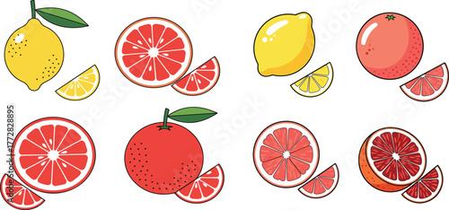 Hand-Drawn Citrus Fruits Lemon and Grapefruit Vector Set