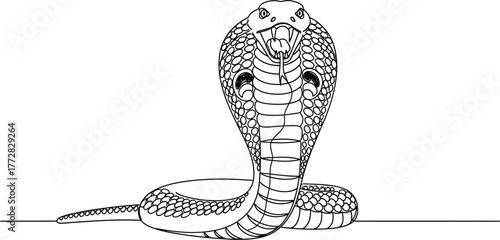Cobra snake reptile serpent danger venomous wildlife animal nature predator threat