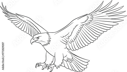Eagle bird wings flying soaring freedom majestic predator wildlife nature art