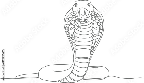 Cobra snake reptile serpent venomous wildlife danger animal nature predator fang hiss