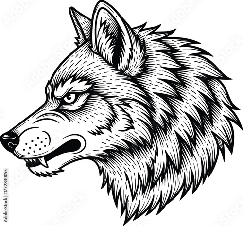 Wolf head illustration canine animal predator wildlife nature mammal wild