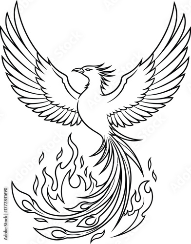 Phoenix bird fire flames mythical creature rebirth mythology legend fantasy art
