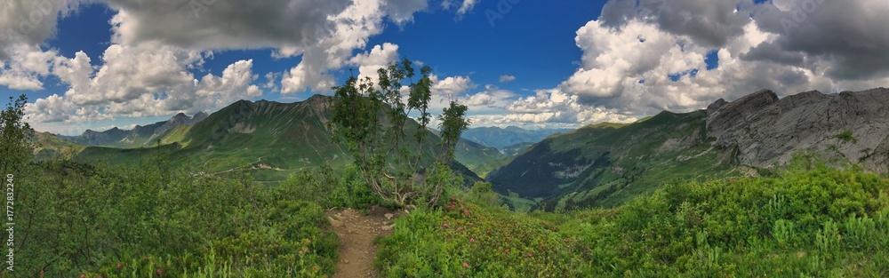 Fototapeta premium Panoramic view of lush green mountains under a cloudy blue sky