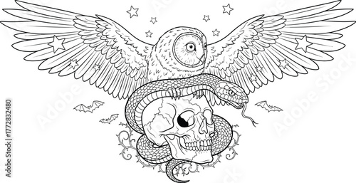 Owl snake skull wings stars bats lineart tattoo drawing gothic occult art
