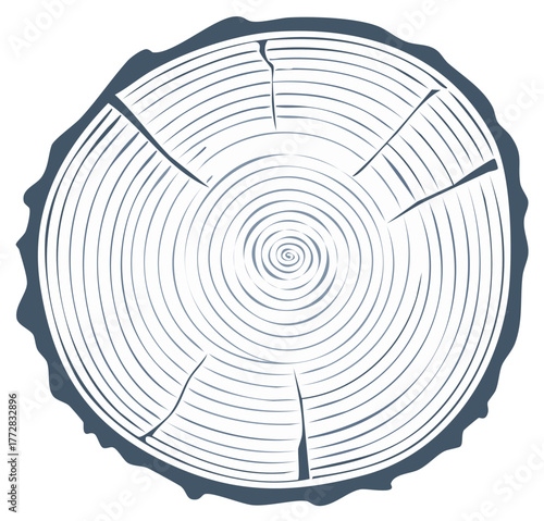 Wood Surface with Growth Rings and Radial Cracks, Tree Trunk Texture