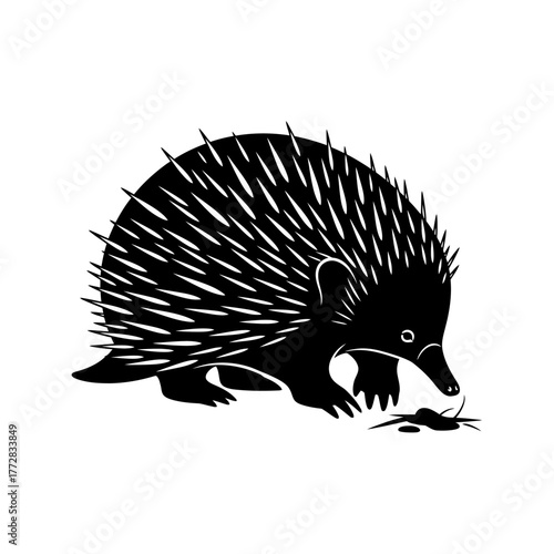 Echidna silhouette illustration, black and white, foraging for food.