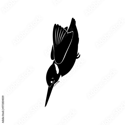 Kingfisher bird diving for fish in the water.