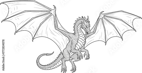 Dragon mythical creature wings fantasy art drawing line work outline beast