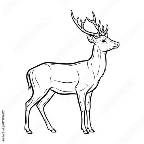 Majestic deer standing tall in the wilderness, side view.
