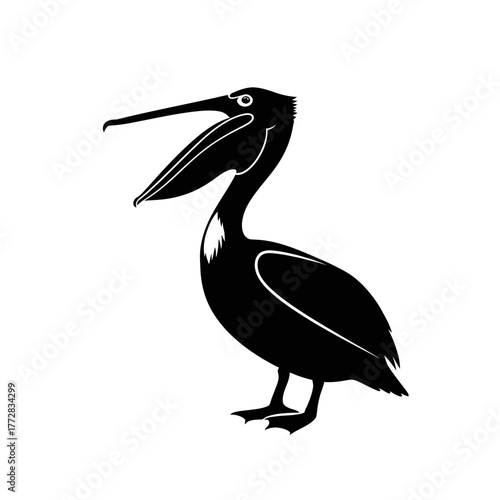Silhouette of a pelican bird in black and white.