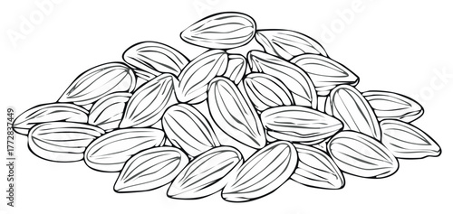 Pile of sunflower seeds line art illustration black and white drawing