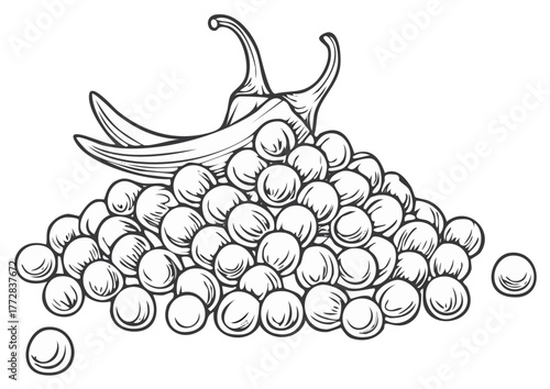 Detailed monochrome outline drawing showing a generous mound of fresh peas and two spicy chili peppers