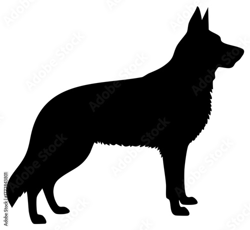 Standing Canine Silhouette Illustration of Shepherd Breed with Erect Ears