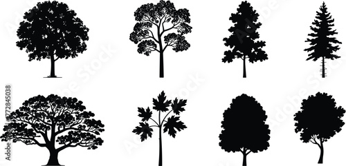 Flat vector silhouette set of diverse tree shapes with foliage styles, forest elements, nature design, botanical illustration, landscape structure, environment