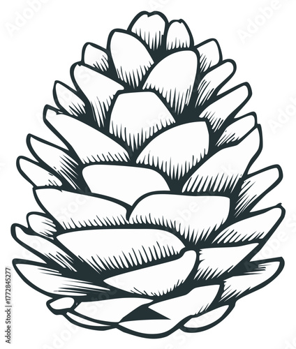 Detailed Black and White Line Art Illustration of a Pinecone, Christmas Decoration