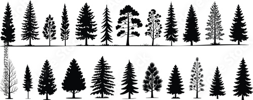 Flat vector silhouette set of coniferous and deciduous trees with diverse shapes, foliage styles, bare branches, nature design, forest elements