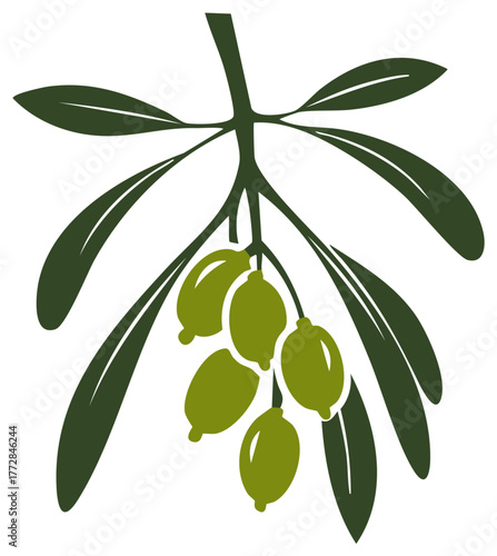 Stylized olive branch with green olives and leaves graphic illustration