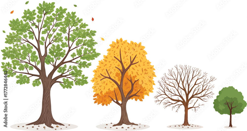 Fototapeta premium autumn tree with leaves