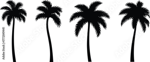 Flat vector silhouette set of palm trees with tropical shapes, curved trunks, frond arrangements, beach elements, exotic nature design