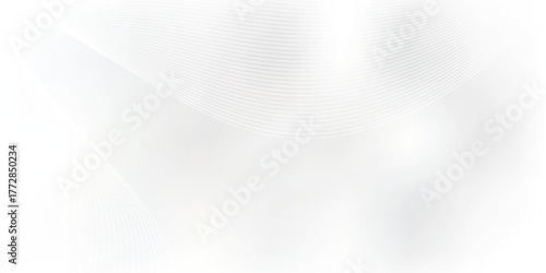 Delicate White Flower Blossom with Soft Petals and Subtle Texture.