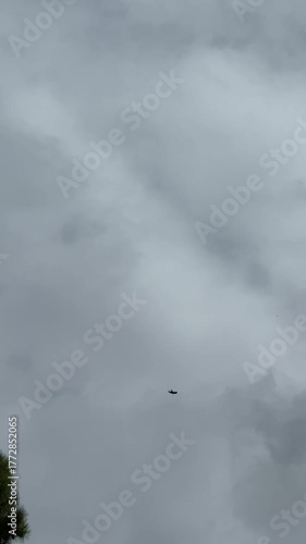 Bird soaring through cloudy sky, camera follows with smooth upward motion