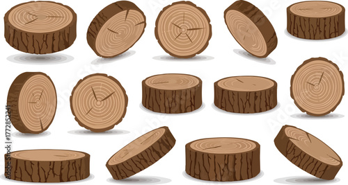 Collection of wooden log cross-sections vector set showing annual rings isolated on white.