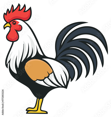 Cartoon rooster illustration with black tail and red comb standing on white background