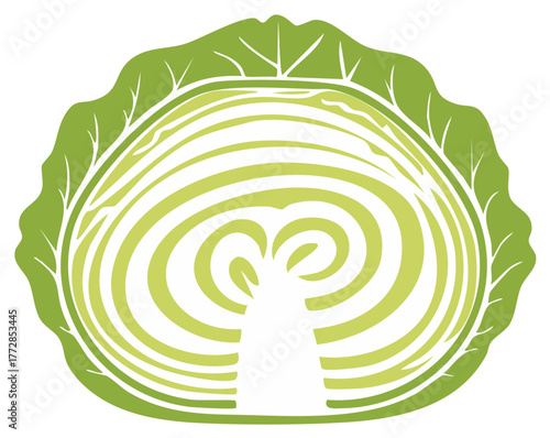 Stylized illustration of a halved green cabbage head, revealing concentric layers and leafy edges, in a fresh, vector-style design.