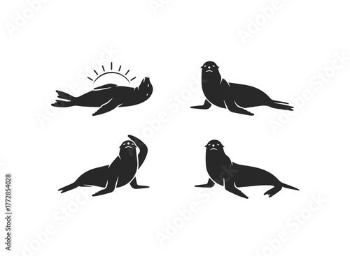 Collection of Black Seal and Sea Lion Silhouettes