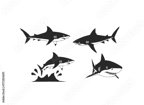 Set of Four Shark Illustrations