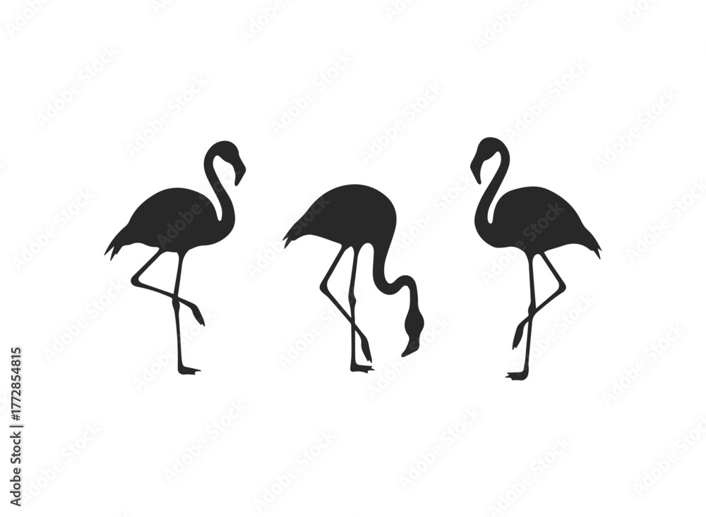 Obraz premium Three Elegant Flamingo Silhouettes Vector Illustration