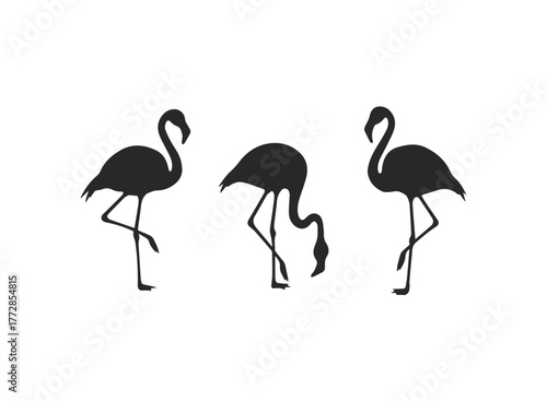 Three Elegant Flamingo Silhouettes Vector Illustration