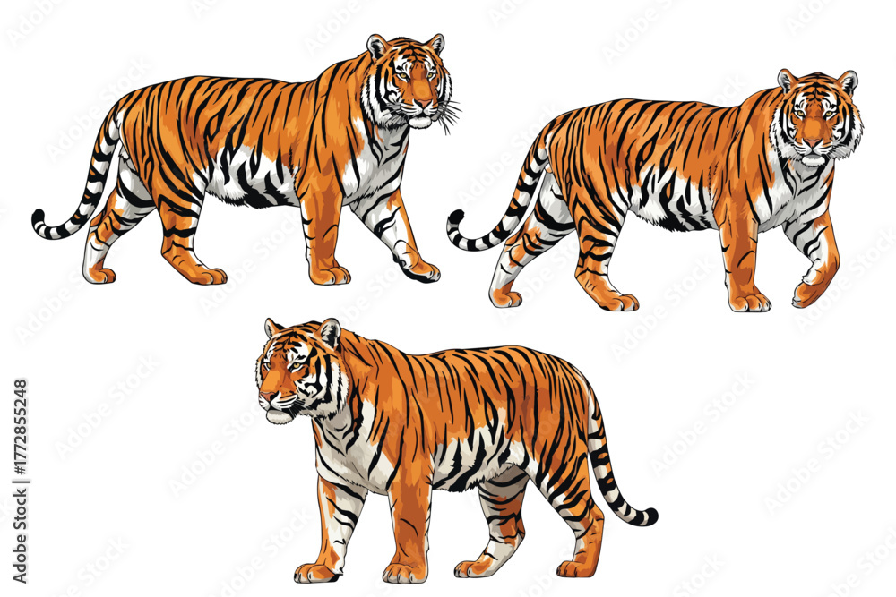 Obraz premium Graceful Bengal Tiger in Vibrant Vector Art Style Illustration