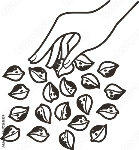 Hand picking seeds, sorting organic chickpeas minimal line drawing, healthy food selection, agriculture and gardening concept