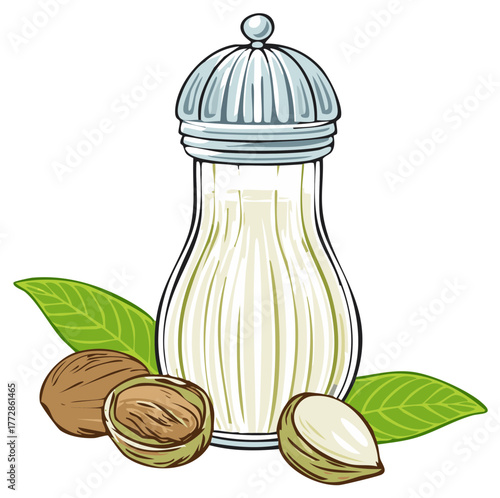 Nutmeg spice shaker bottle with whole and cracked nuts and vibrant green leaves illustration