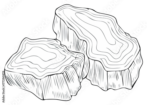 Two stylized organic wood log cross sections with concentric growth rings shown in line art style