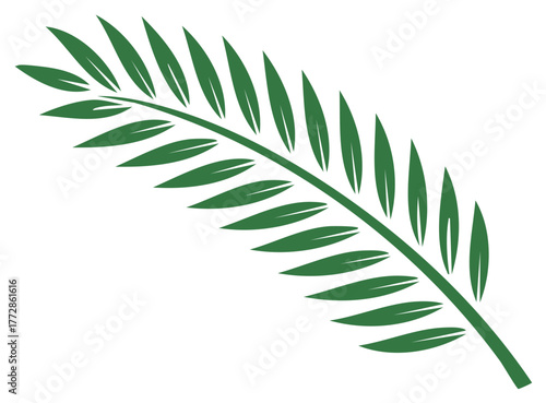 Simple green palm frond vector illustration. Tropical plant leaf icon for summer and Palm Sunday.