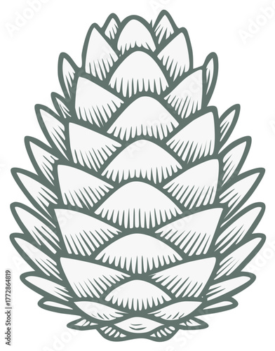 Isolated Simple Outline Drawing of Pinecone Element