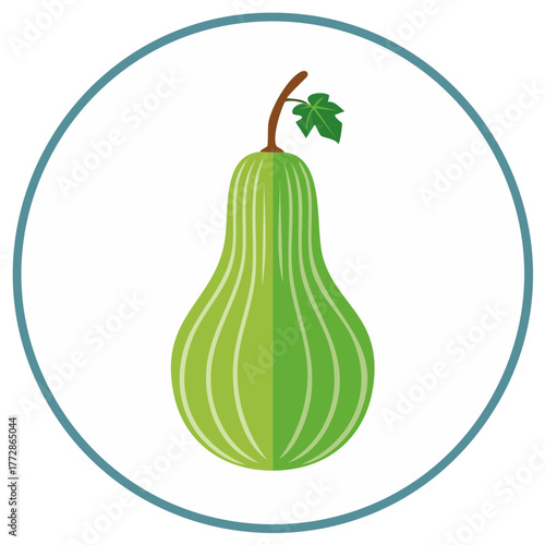 Green gourd with a leaf and stem, depicted within a teal circle outline