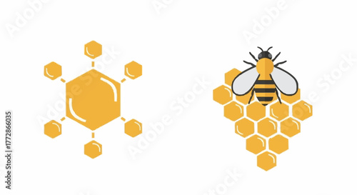 A set of creative icons featuring a honeybee on a honeycomb and a hexagonal network symbol representing apiculture, data, and community