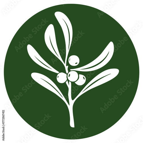 Christmas mistletoe sprig with white berries vector icon. Holiday plant illustration on a green circle.