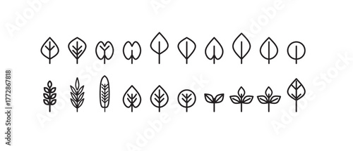  Set of outline leaf icon. Collection of leaf icons suitable for nature themed projects and designs with clean outlines. Autumn Leaf Icons line outline icon set of Autumn Leaves. Vector illustration.
