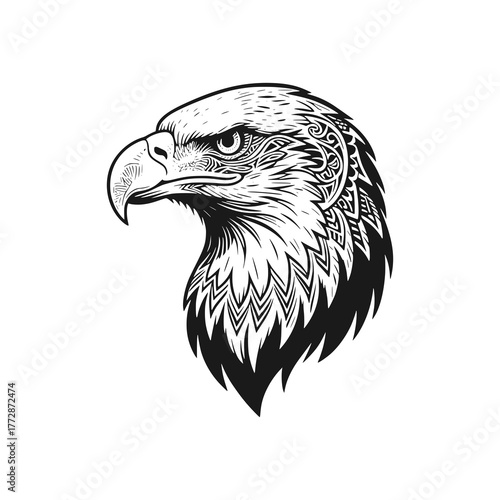 The sharp gaze of an eagle. Black white vector illustration.