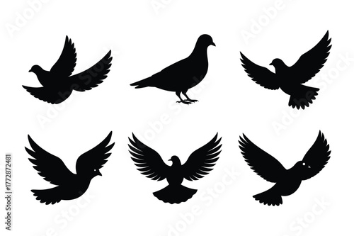 Dove silhouette vector illustration, Set of  Dove silhouette  illustration