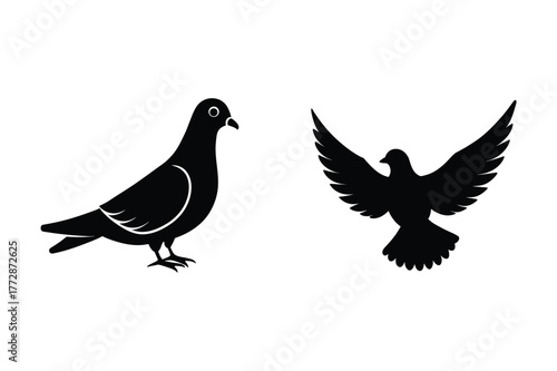 Dove silhouette vector illustration, Set of  Dove silhouette  illustration