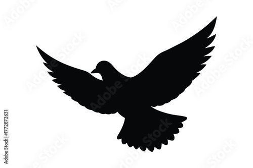 Dove silhouette vector illustration, Set of  Dove silhouette  illustration