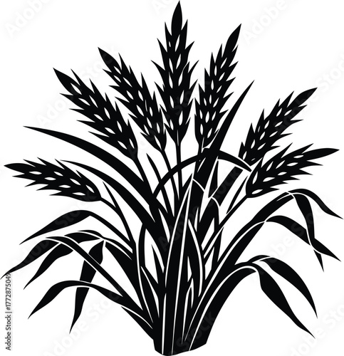 vector silhouette of a plant
