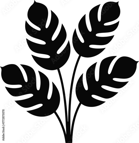 Black silhouette of a tropical plant leaf