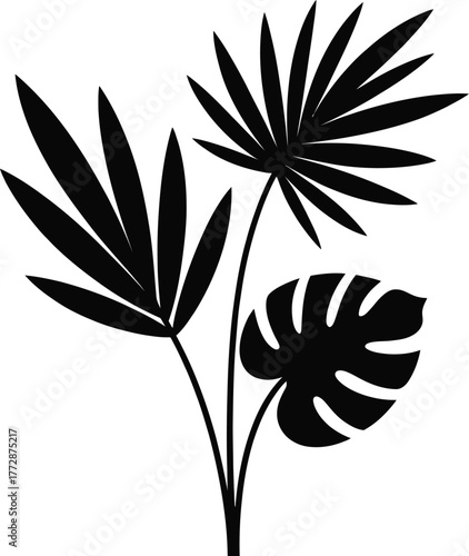Elegant black silhouette of a tropical plant leaf