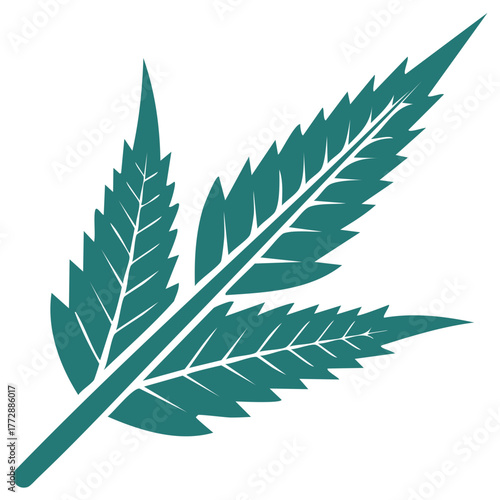 Turquoise cannabis leaf illustration, isolated on white background, vector graphic.